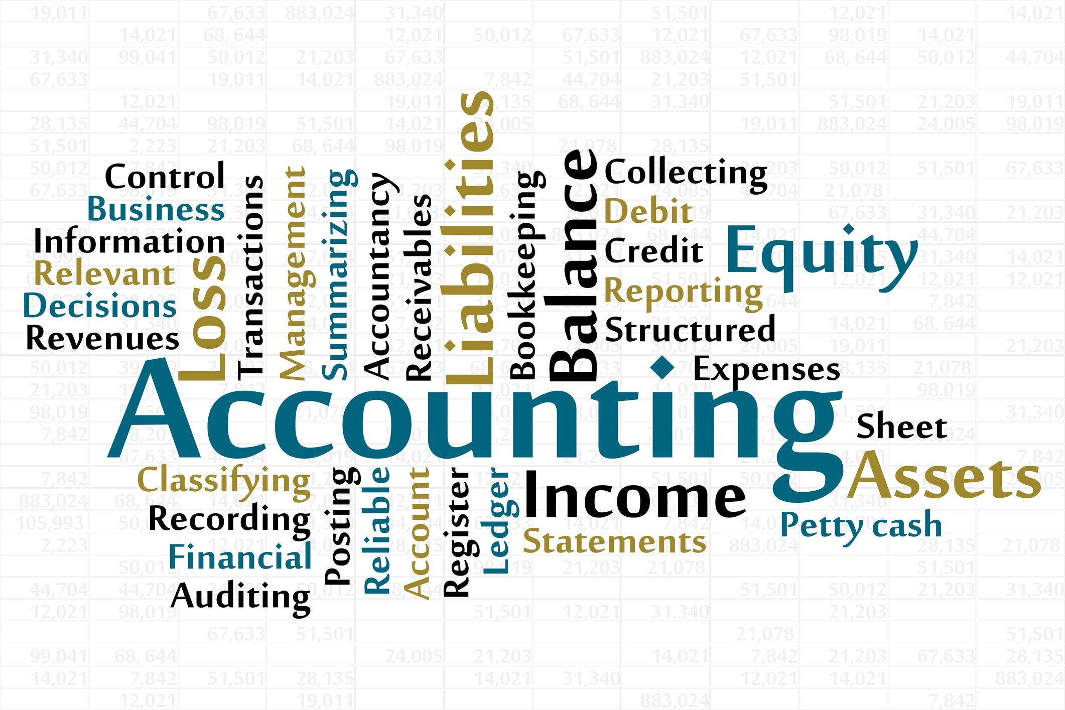 Accounting Degree Online